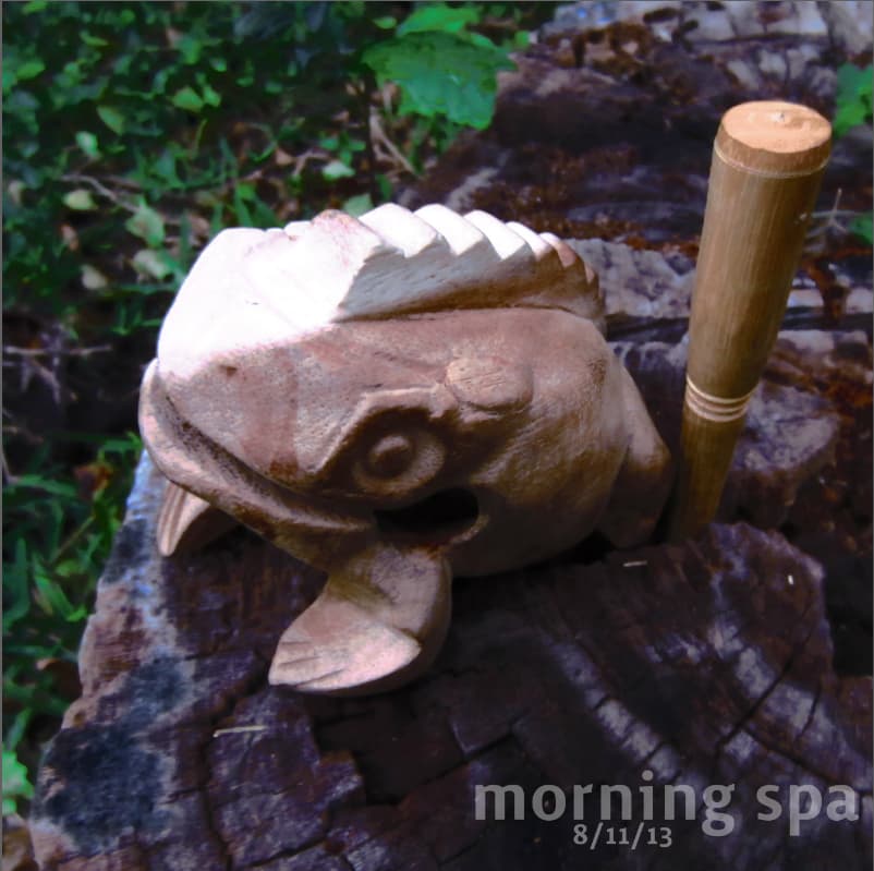 Morning Spa 8/11/13 cover art